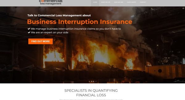 project-commercial-loss-management