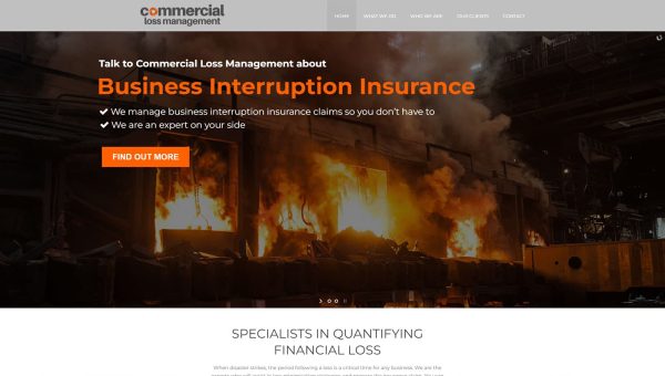 project-commercial-loss-management